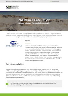 ZIA Case Study Guzman Minerals